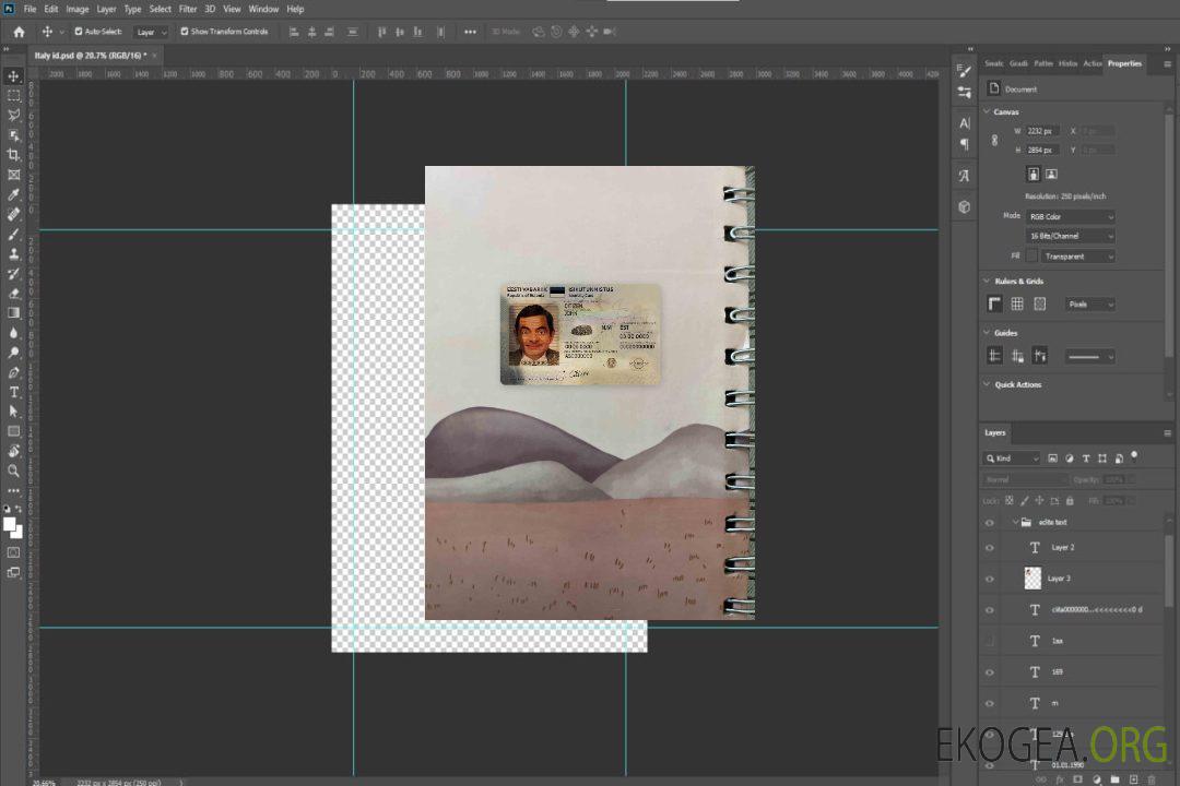 Modèle d'identité d'Estonie (2018 – présent) photolook AVANT template